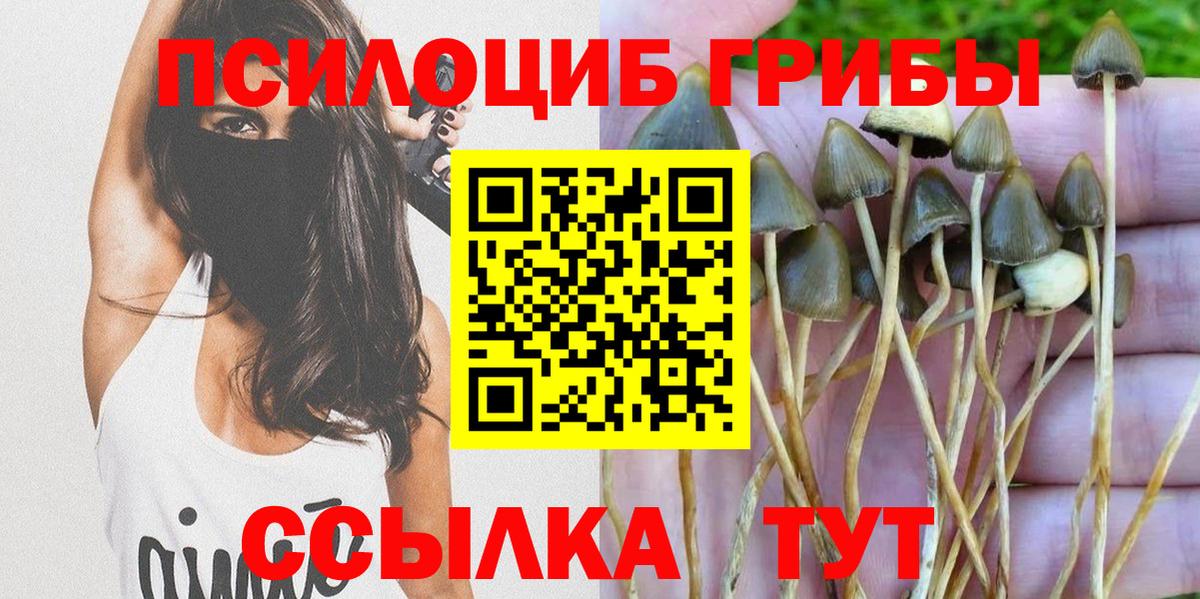 Псилоцибиновые грибы Cubensis  Вход с VPN  Йошкар-Ола 