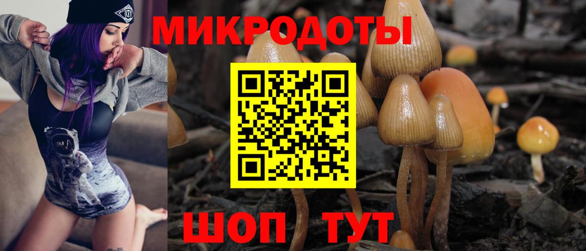Галлюциногенные грибы прущие грибы Йошкар-Ола