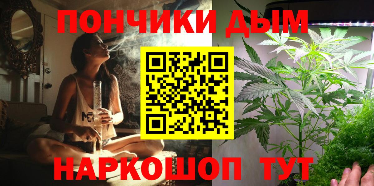 Йошкар-Ола  Шишки марихуана планчик  Вход с VPN  Бошки Шишки AK-47 